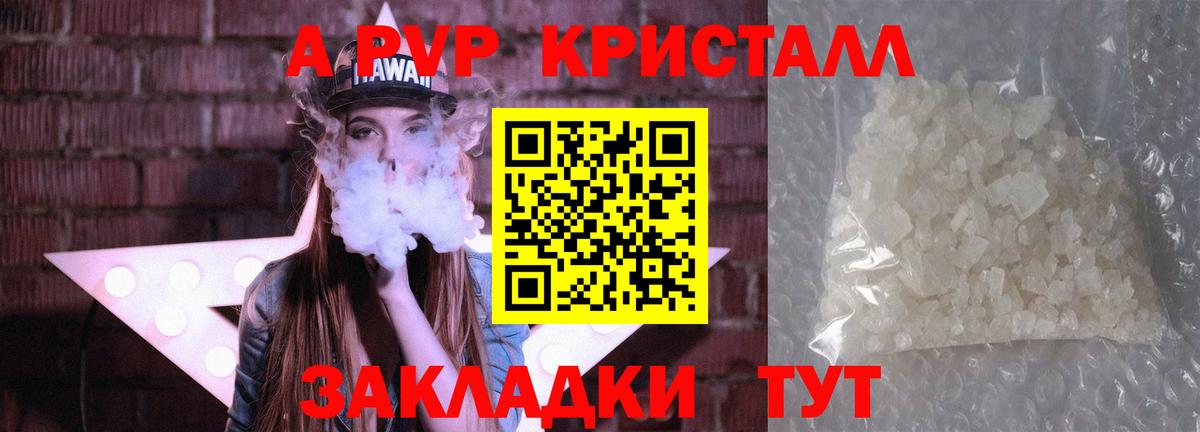 A-PVP СК КРИС Тельмана